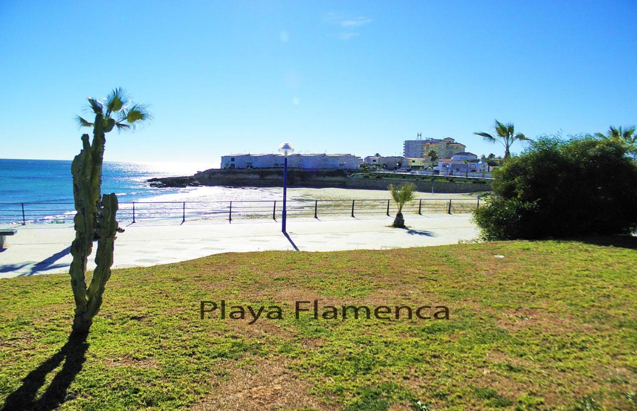 Apartment With Large Roof Solarium Dehesa de Campoamor  外观 照片