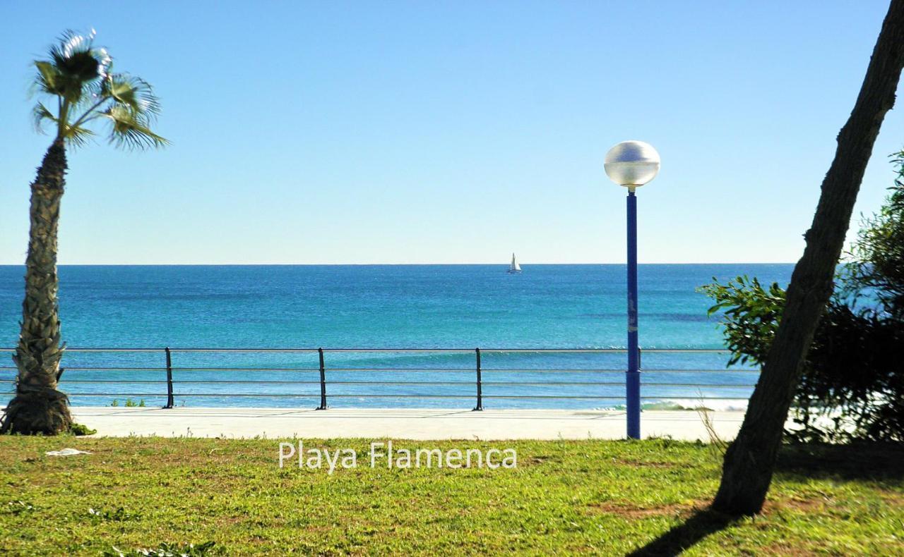 Apartment With Large Roof Solarium Dehesa de Campoamor  外观 照片
